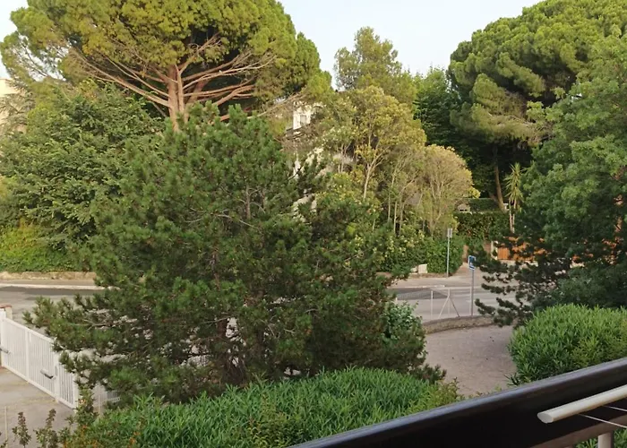 A 6Mn De Sanary-5Mn Plage-Wifi-Balcon-Parking